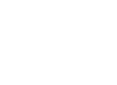 Real Stone Veneers